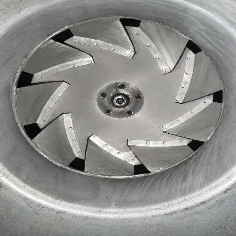 DineSafe Toronto: How Kitchen Cleaning Affects Your Score