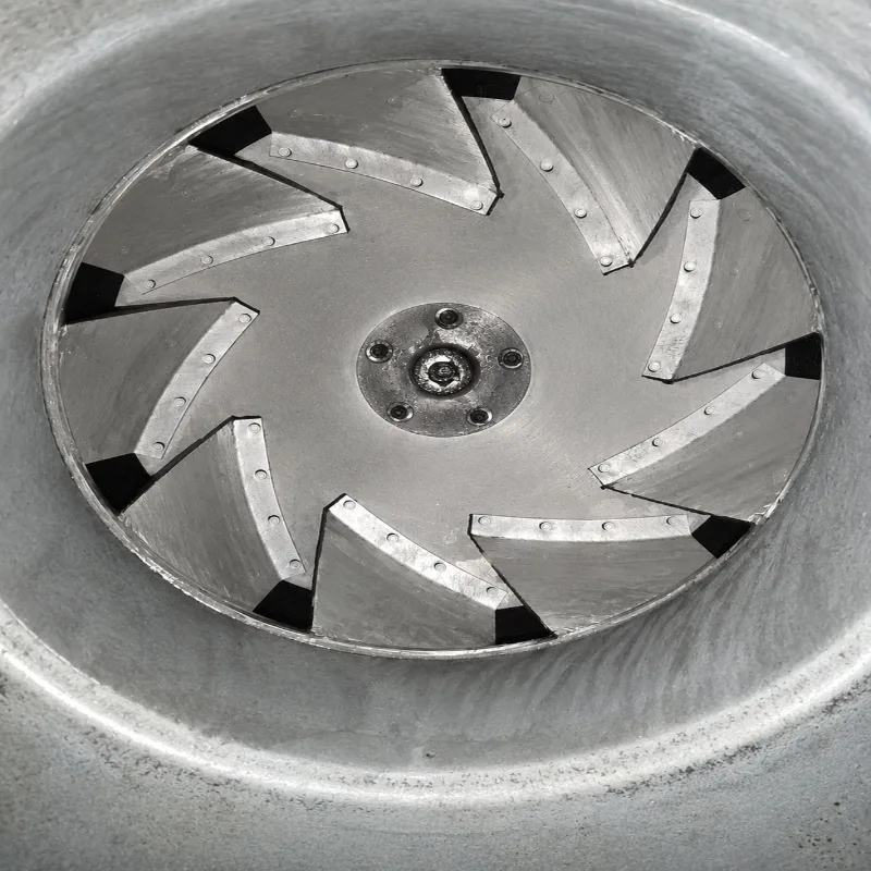 DineSafe Toronto: How Kitchen Cleaning Affects Your Score